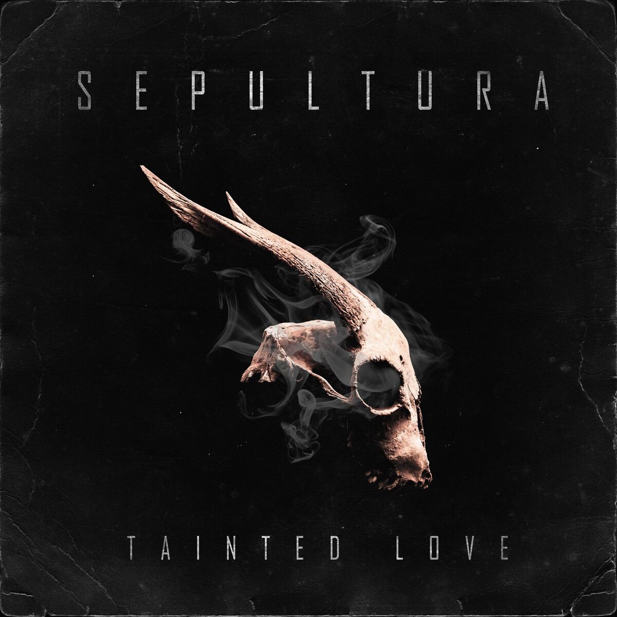 Album cover of Tainted Love