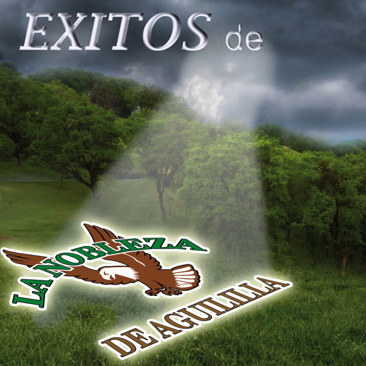 Album cover of Exitos de La Nobleza de Aguililla