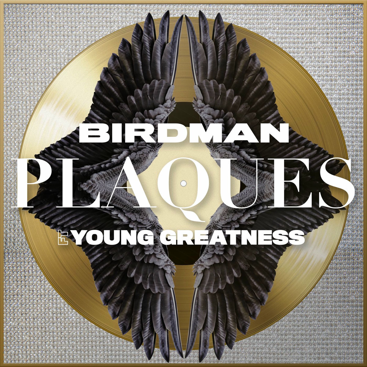 Album cover of Plaques