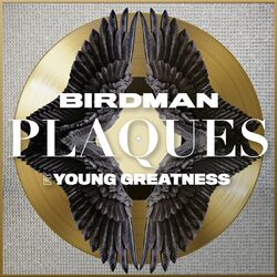 Cover of Plaques