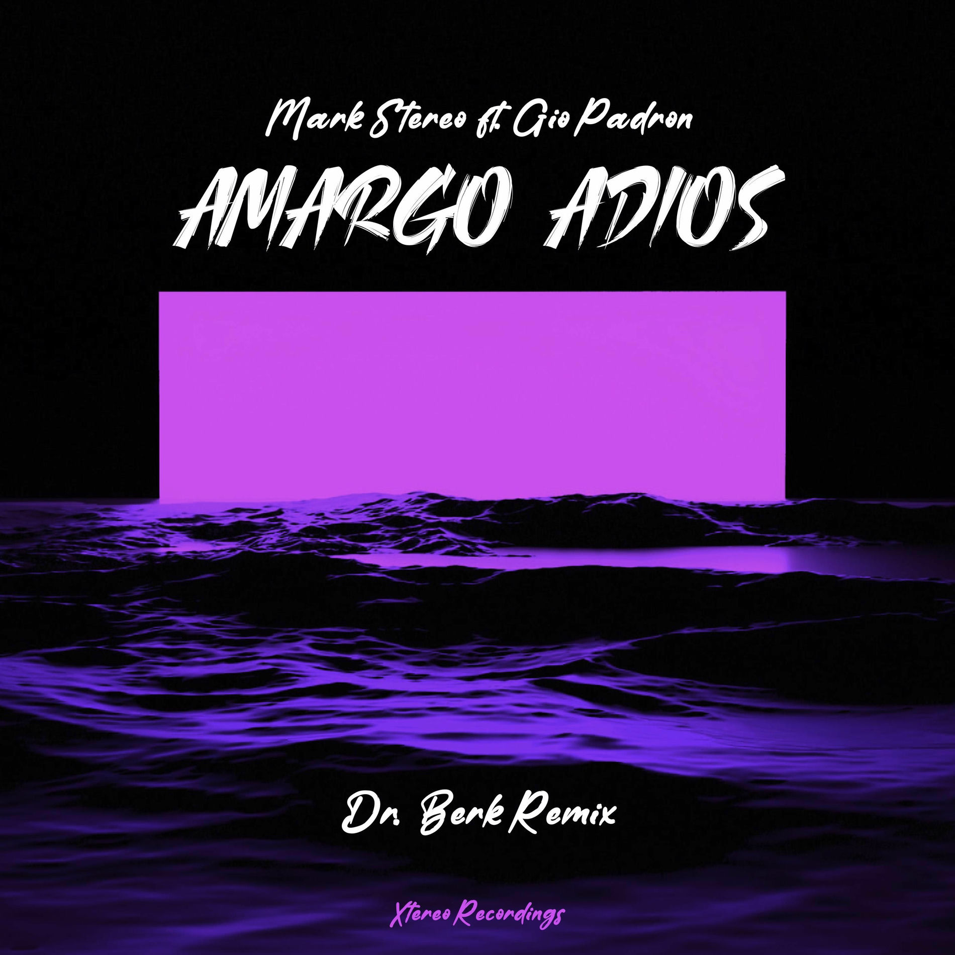 Album cover of Amargo Adios (feat. Gio Padron) (Dr. Berk Remix)