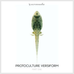 Cover of Versiform (Part One)
