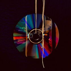 Cover of The Glass Paperweight