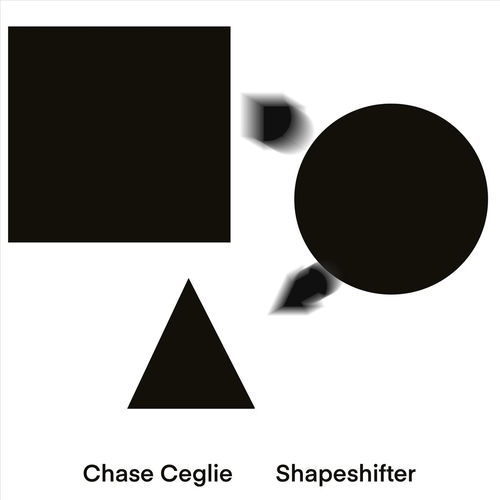 Shapeshifter artwork