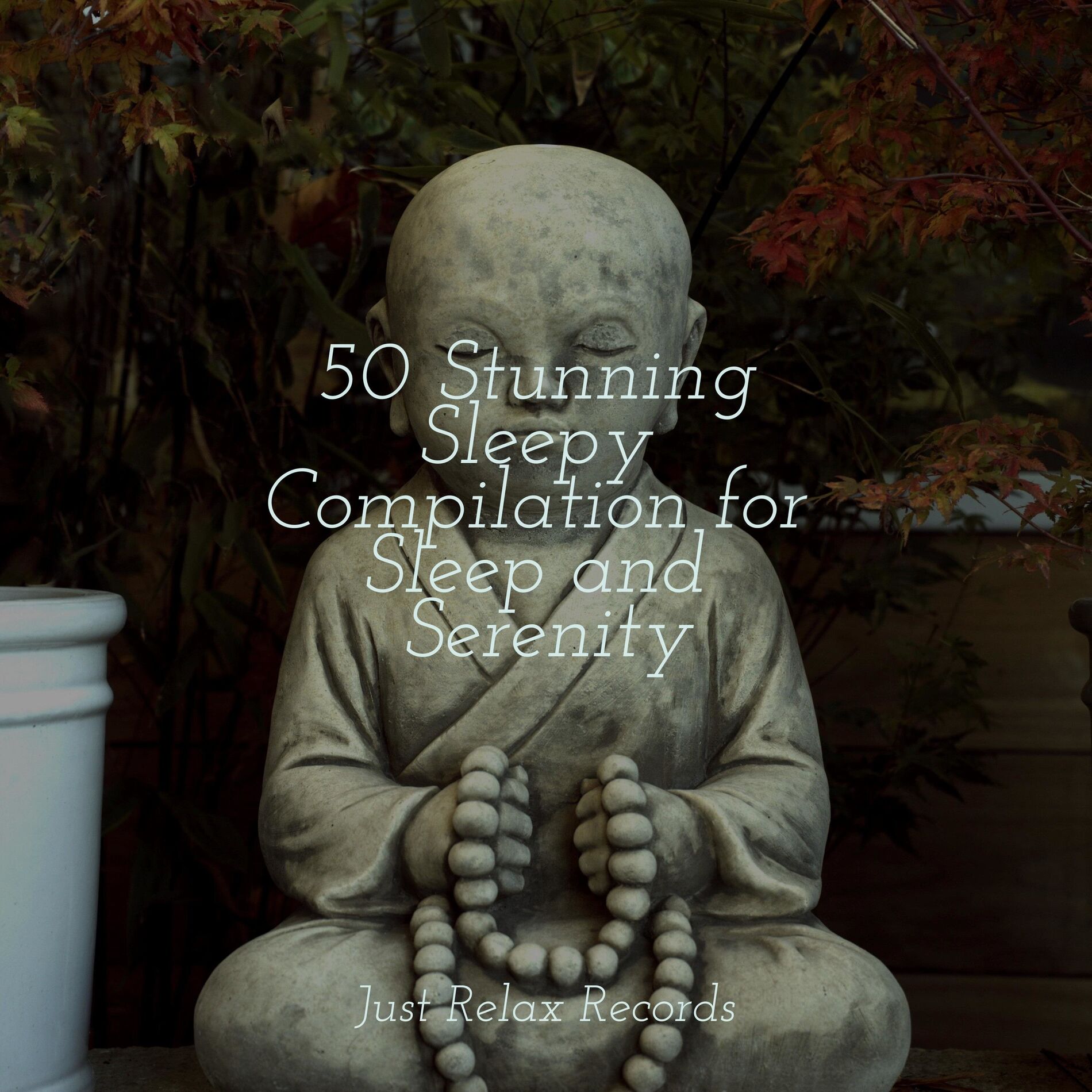 Album cover of 50 Stunning Sleepy Compilation for Sleep and Serenity