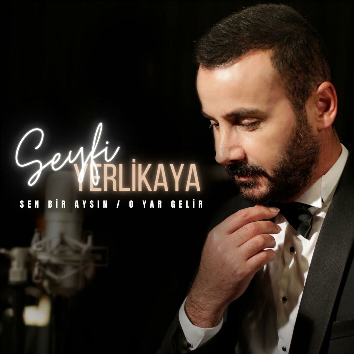 Album cover of Sen Bir Aysın