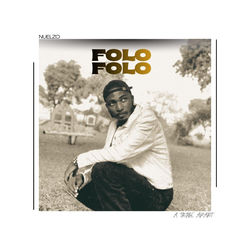 Cover of FOLO FOLO by undefined
