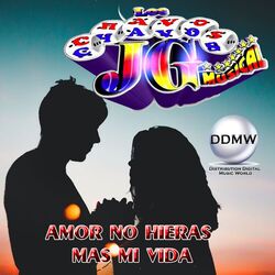 Cover of Amor No Hieras Mas Mi Vida