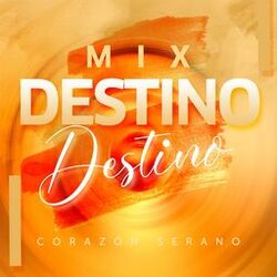 Cover of Mix Destino Destino (En Vivo)