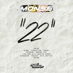 Cover of 22