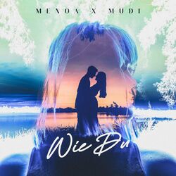Cover of Wie Du