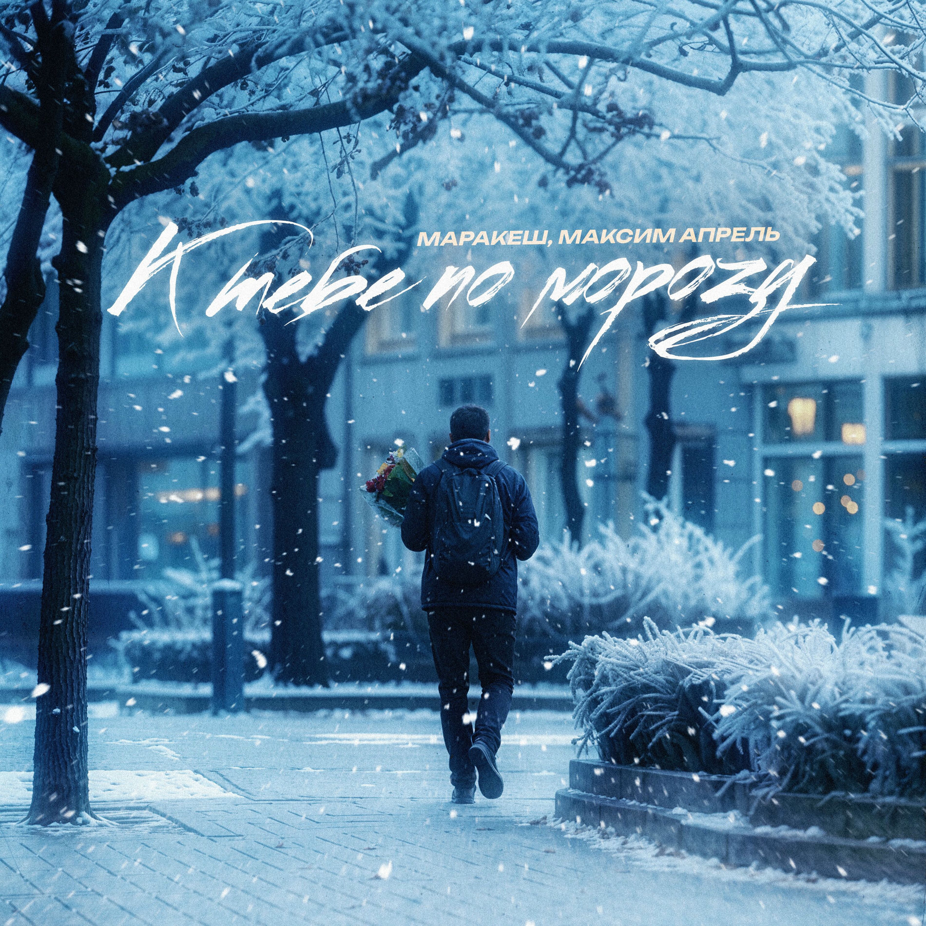 Album cover of К тебе по морозу