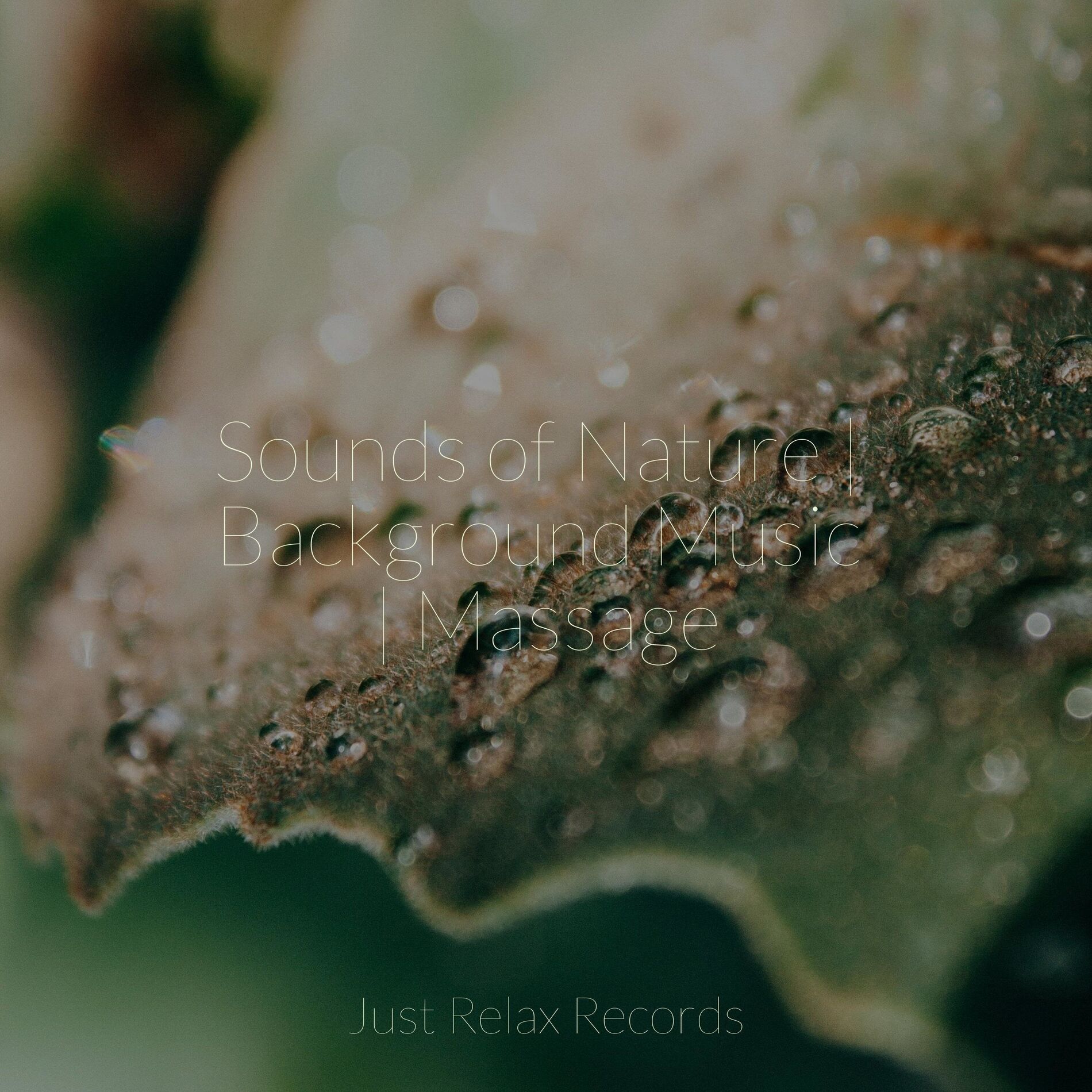 Album cover of Sounds of Nature | Background Music | Massage