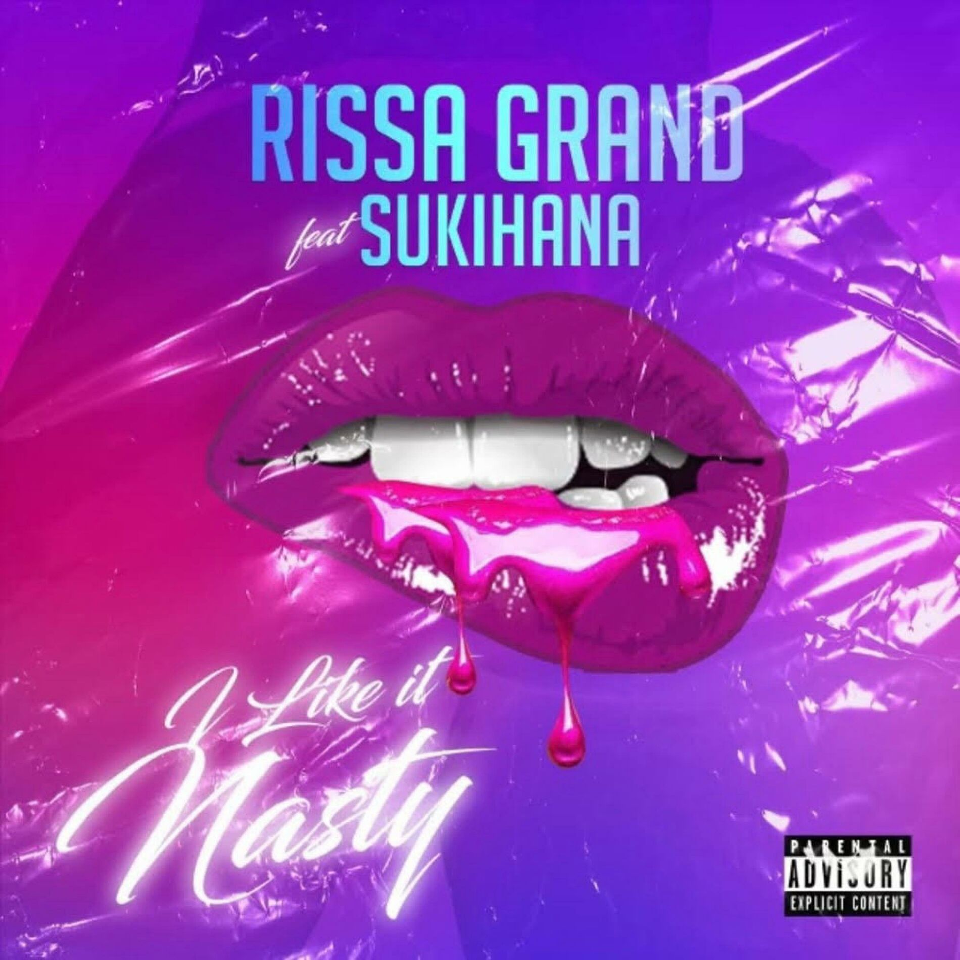 Album cover of I Like It Nasty (feat. Sukihana)