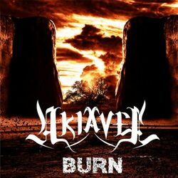 Cover of Burn