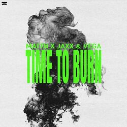 Cover of Time To Burn