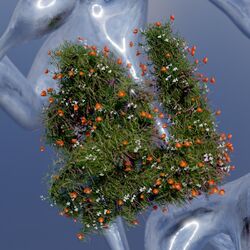 Cover of Dancing Echoes