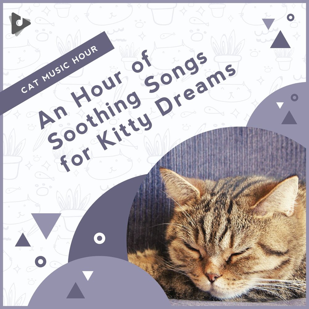 Picture of An Hour of Soothing Songs for Kitty Dreams
