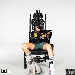 Cover of Tunnel Vision