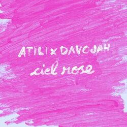 Cover of Ciel rose