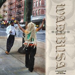 Cover of Wadibusa