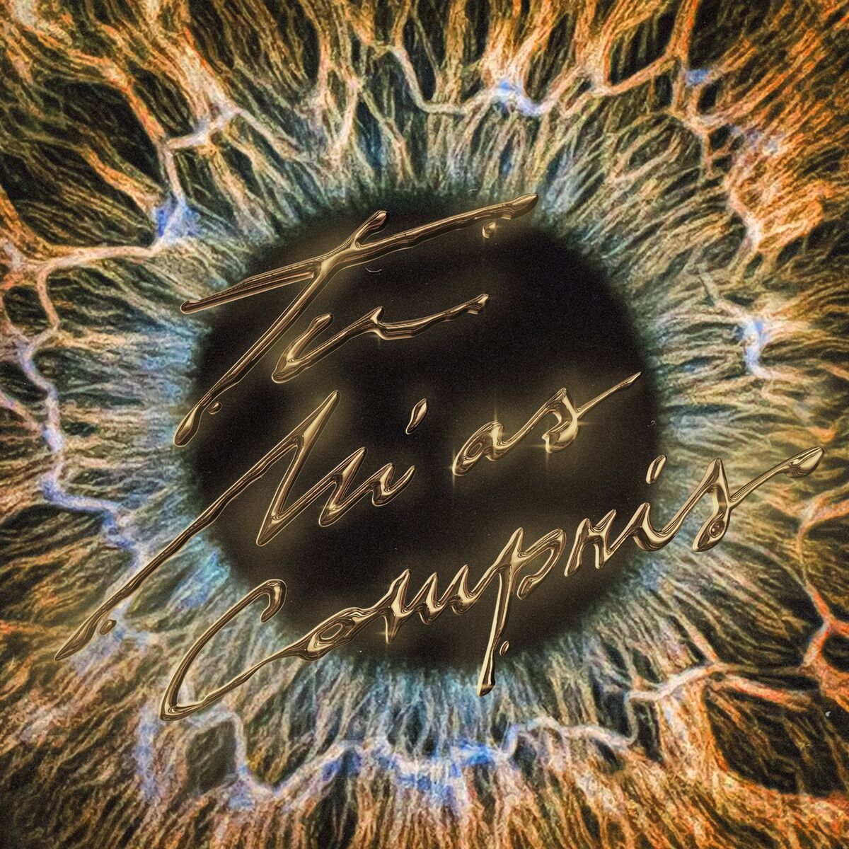 Album cover of TU M'AS COMPRIS