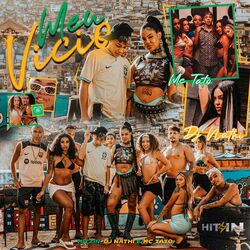 Cover of Meu Vício