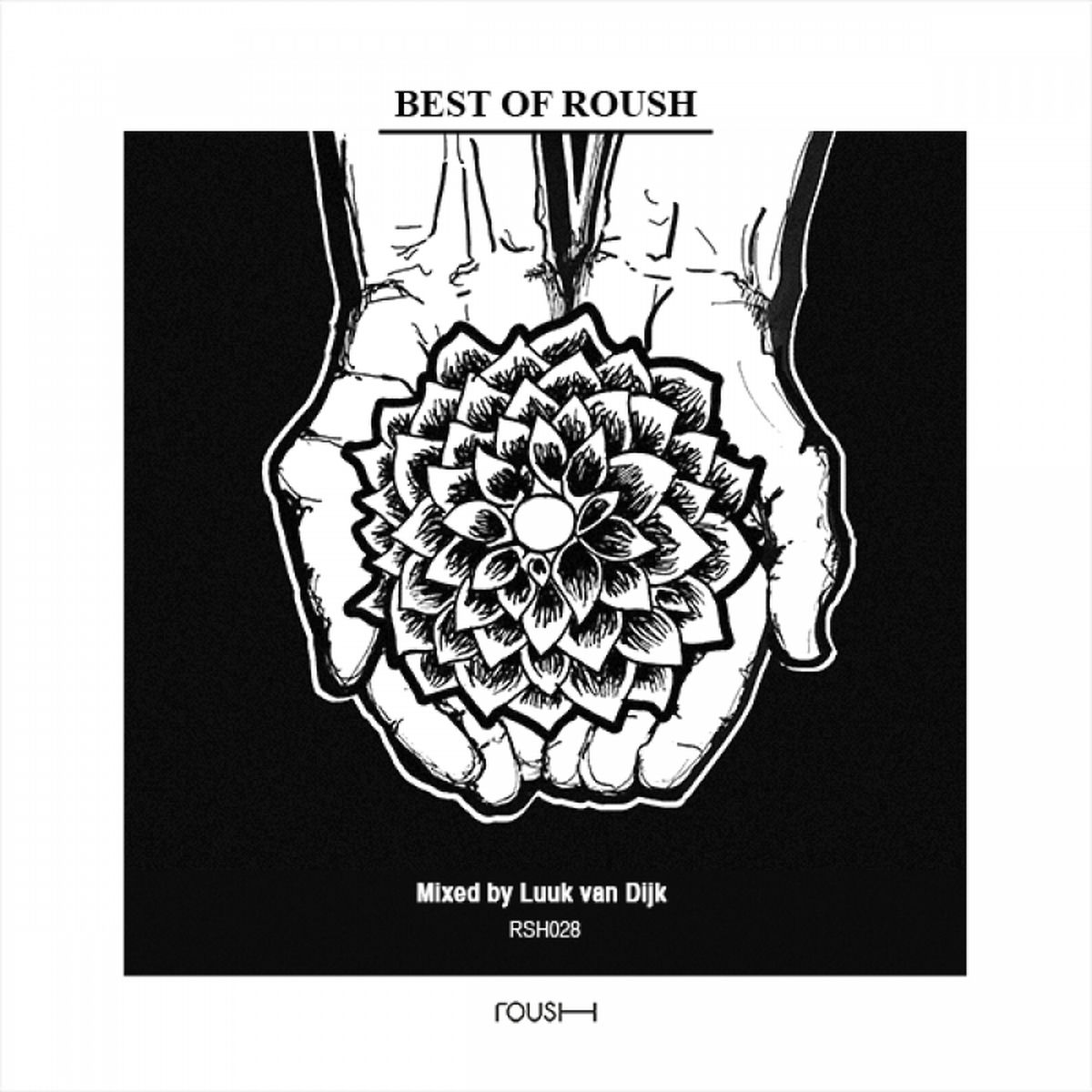 Album cover of 2 Years Of Roush - Mixed By Luuk Van Dijk