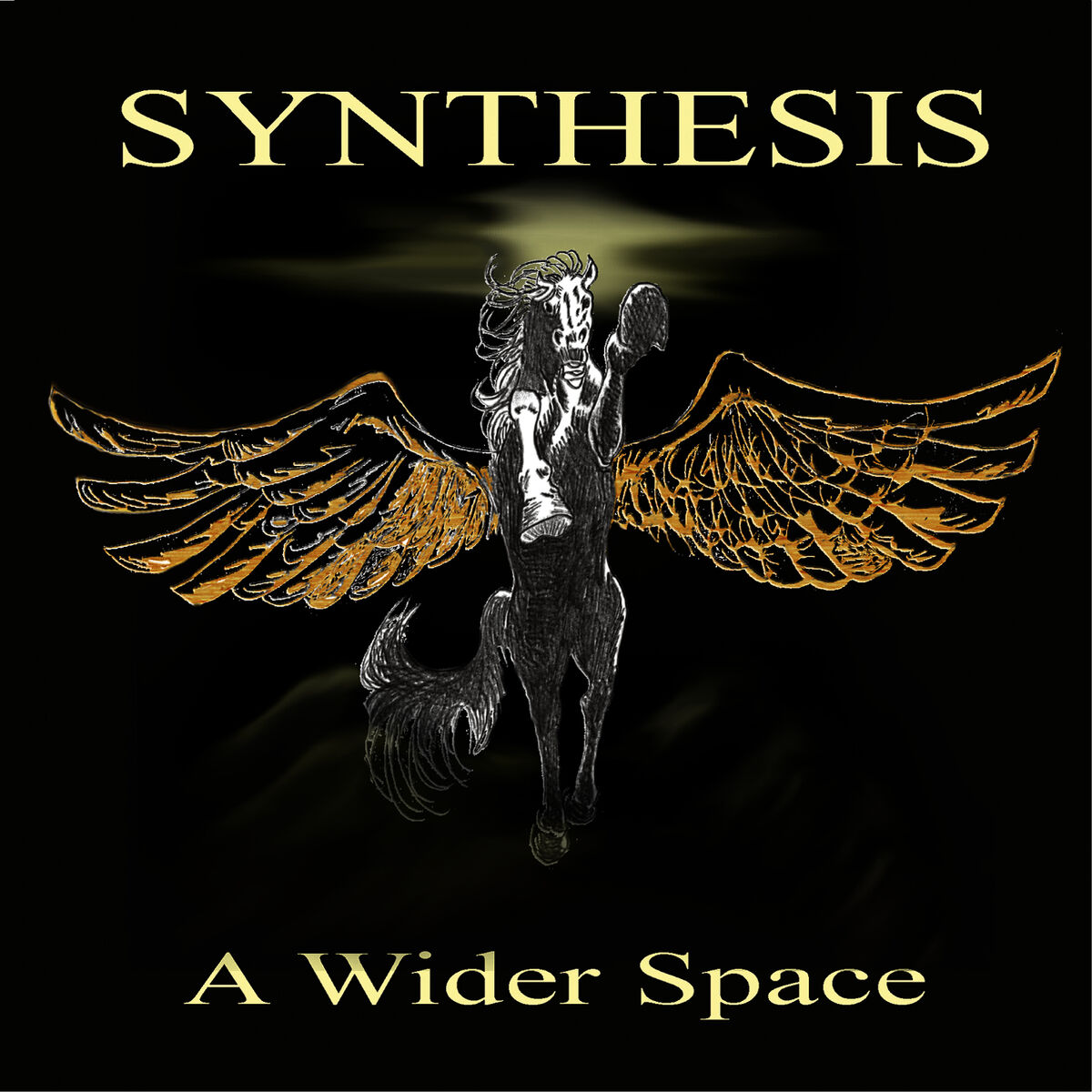 Album cover of A Wider Space