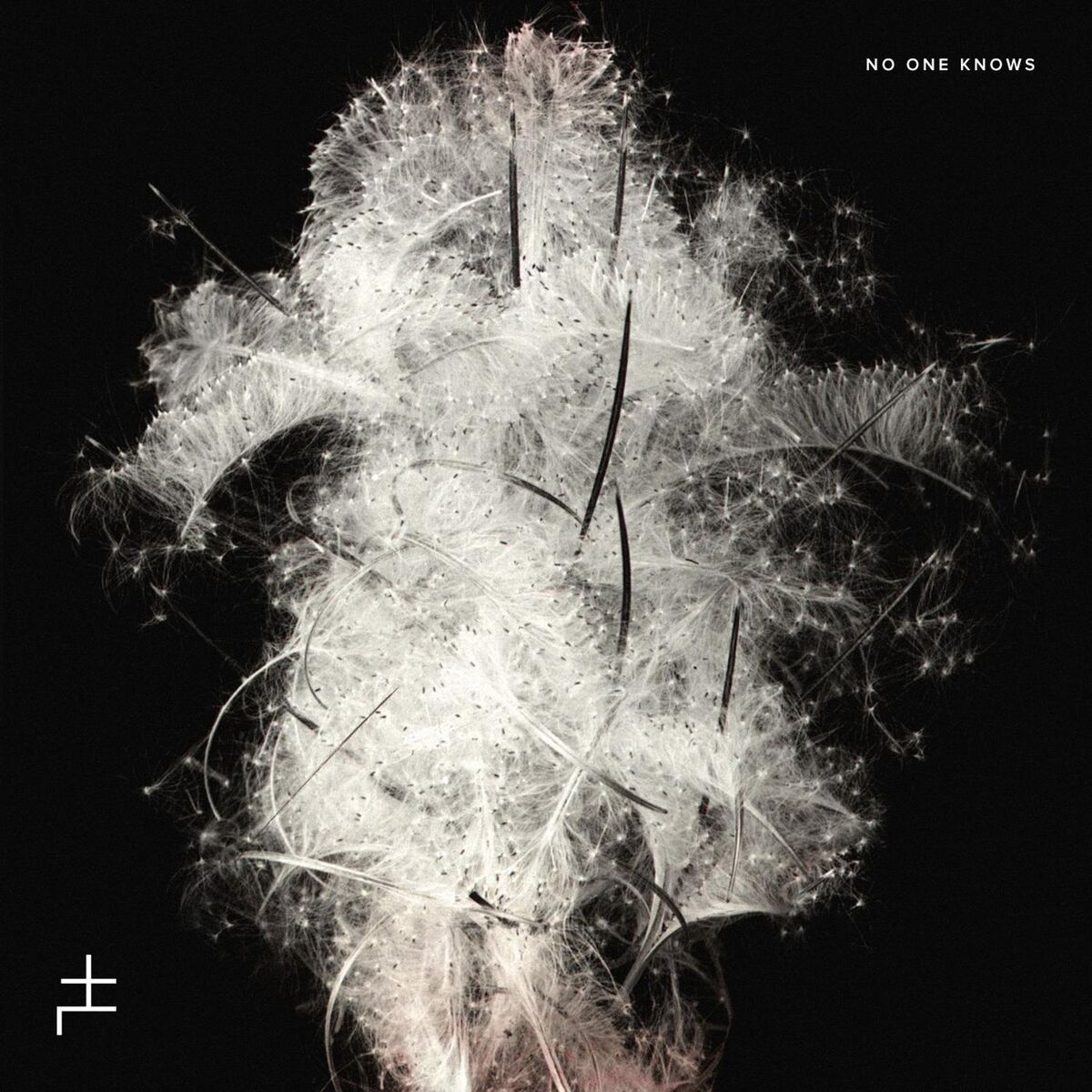 Album cover of No One Knows (Remixes)