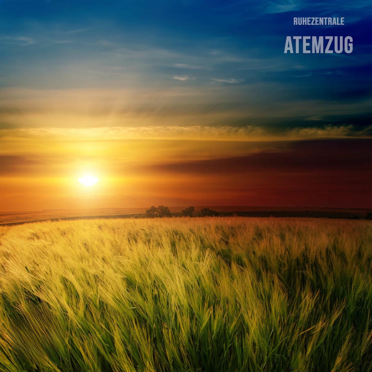 Album cover of Atemzug