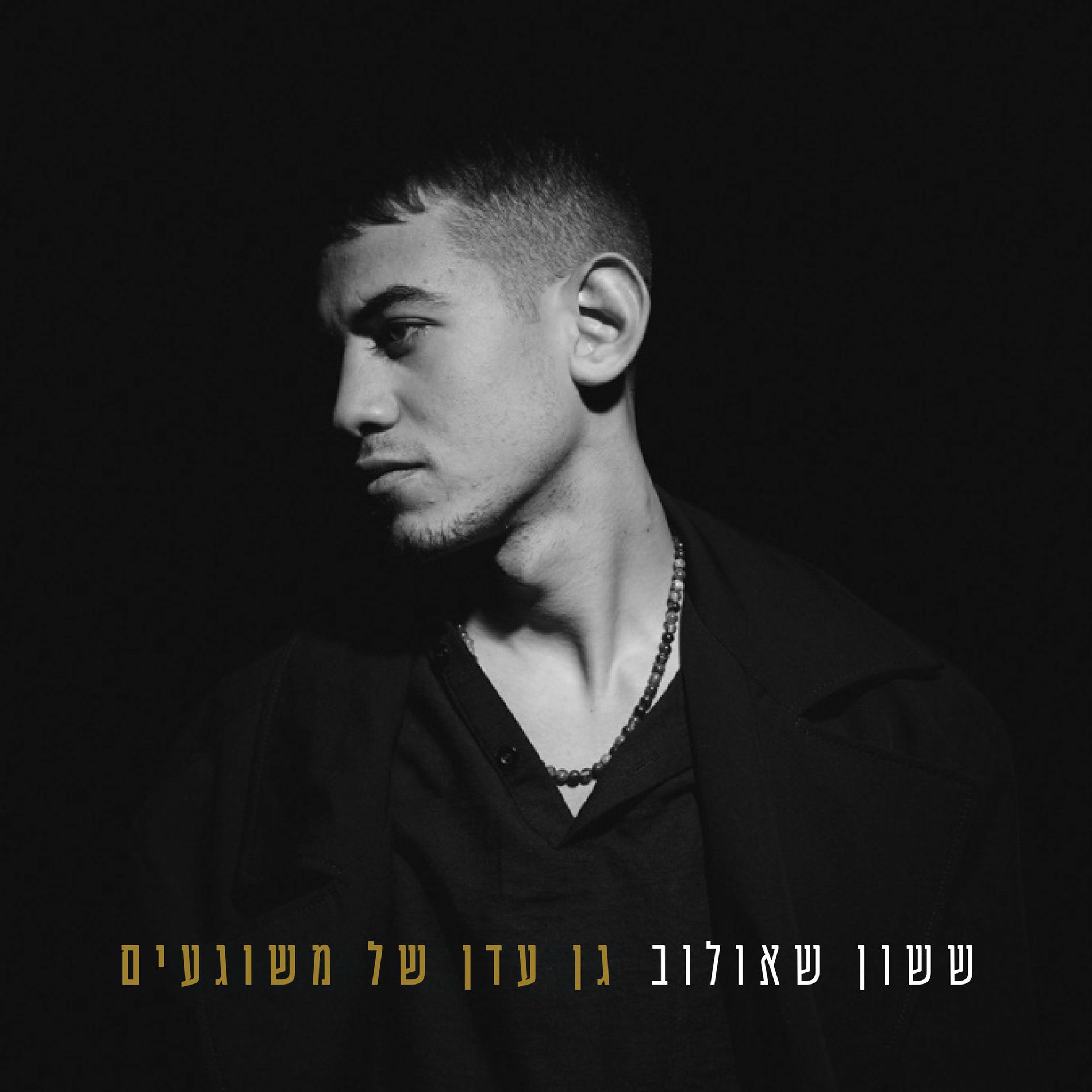 Album cover of גן עדן של משוגעים