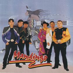 Cover of Nuestro Tributo A Bronco