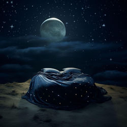 Cover of Whispers of the Twilight Sky by undefined