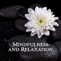 Cover of Mindfulness and Relaxation – Meditation and Yoga Music Background