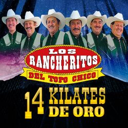 Cover of 14 Kilates de Oro