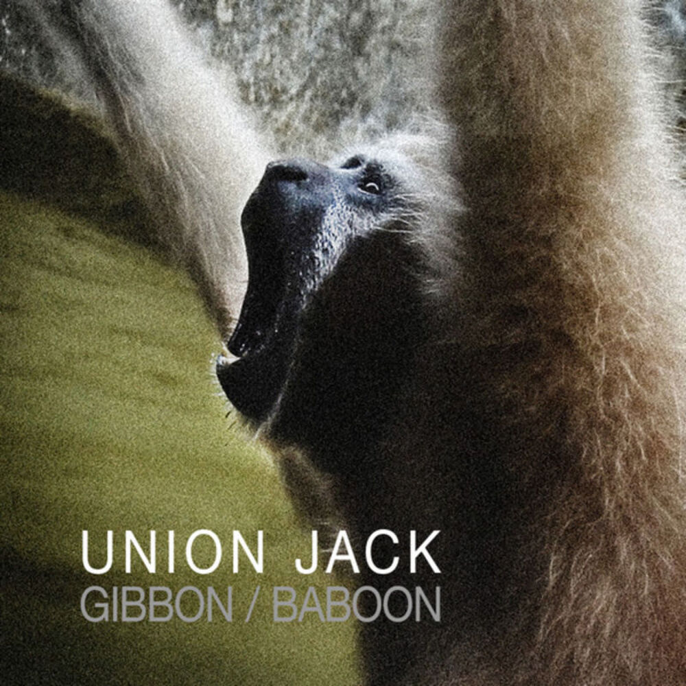 Picture of Gibbon