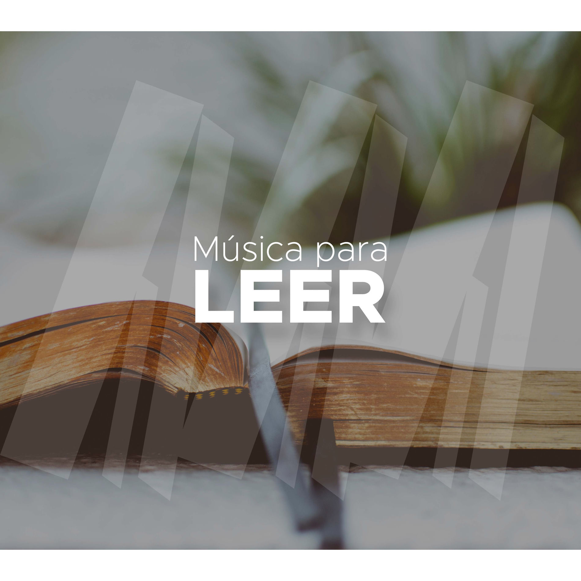 Album cover of Relajación - Música de Fondo para Trabajar