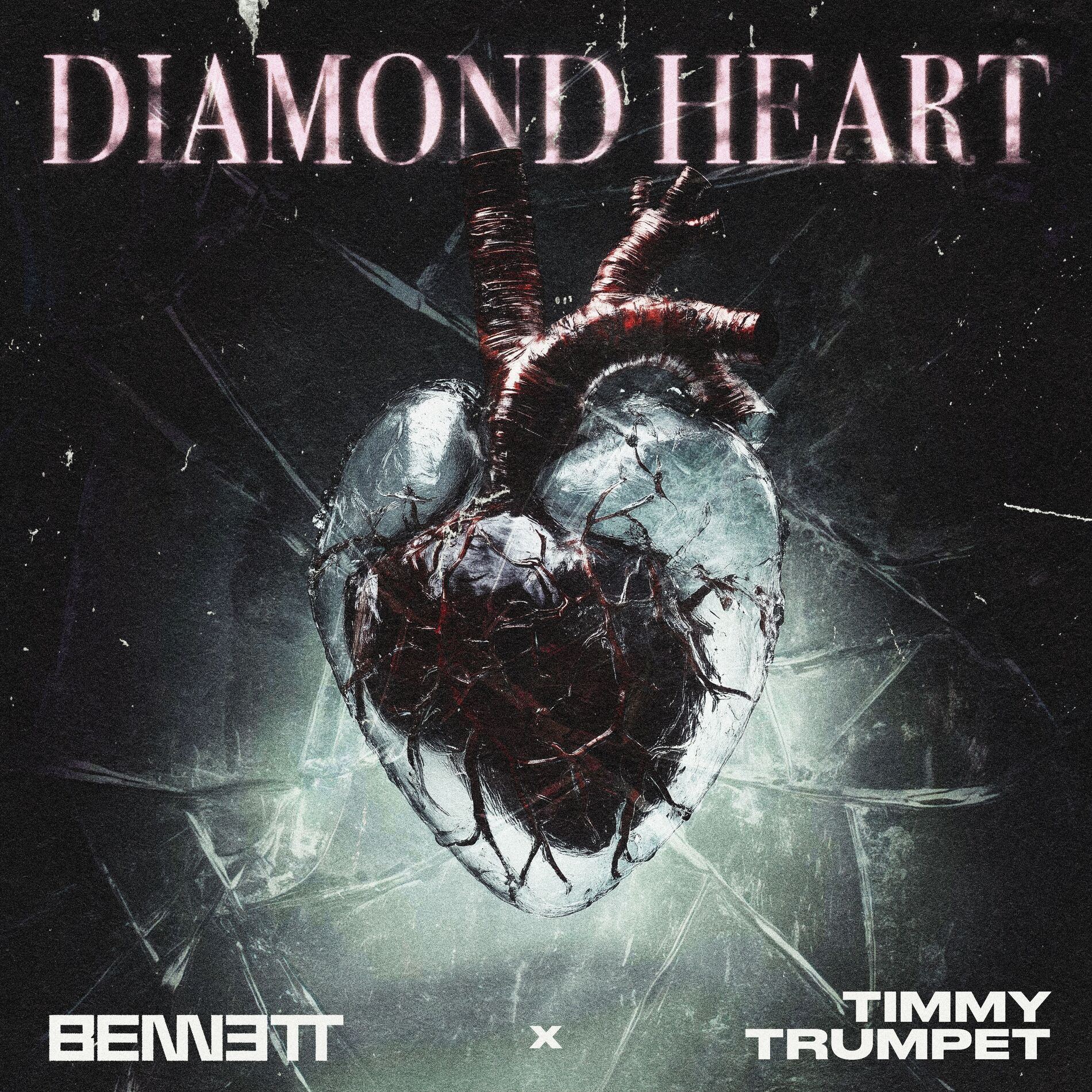 Album cover of Diamond Heart