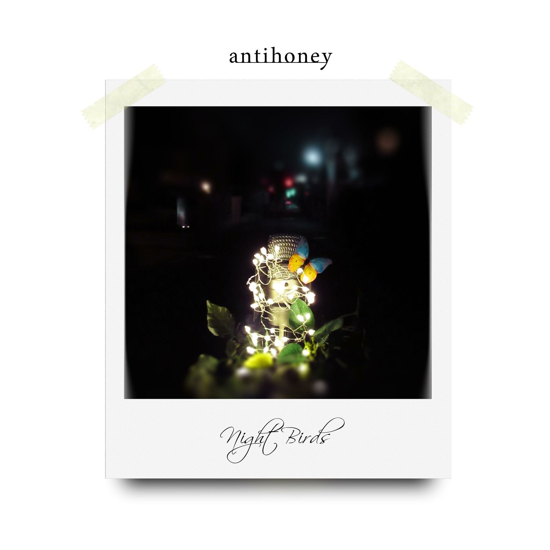 Album cover of Night Birds