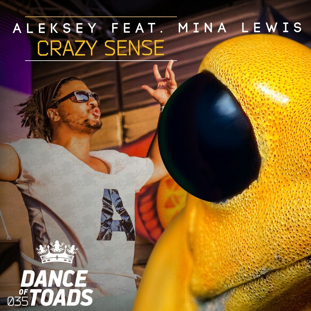 Picture of Crazy Sense