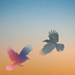 Cover of Afters