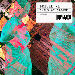 Cover of Child of Groove