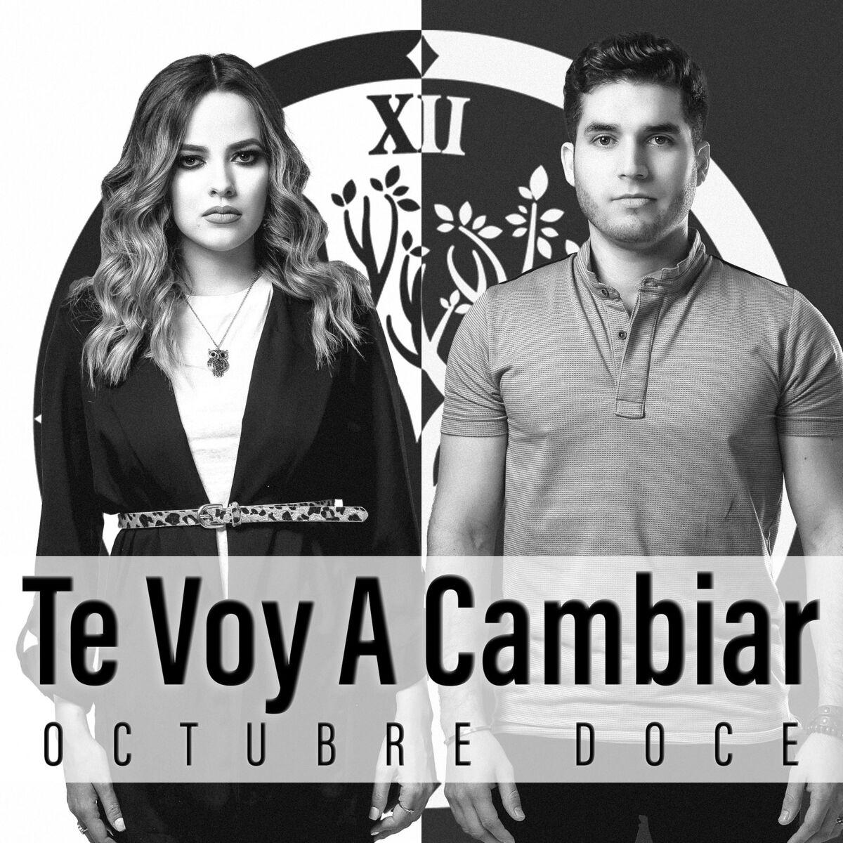 Album cover of Te Voy a Cambiar