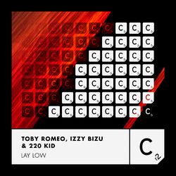 Cover of Lay Low
