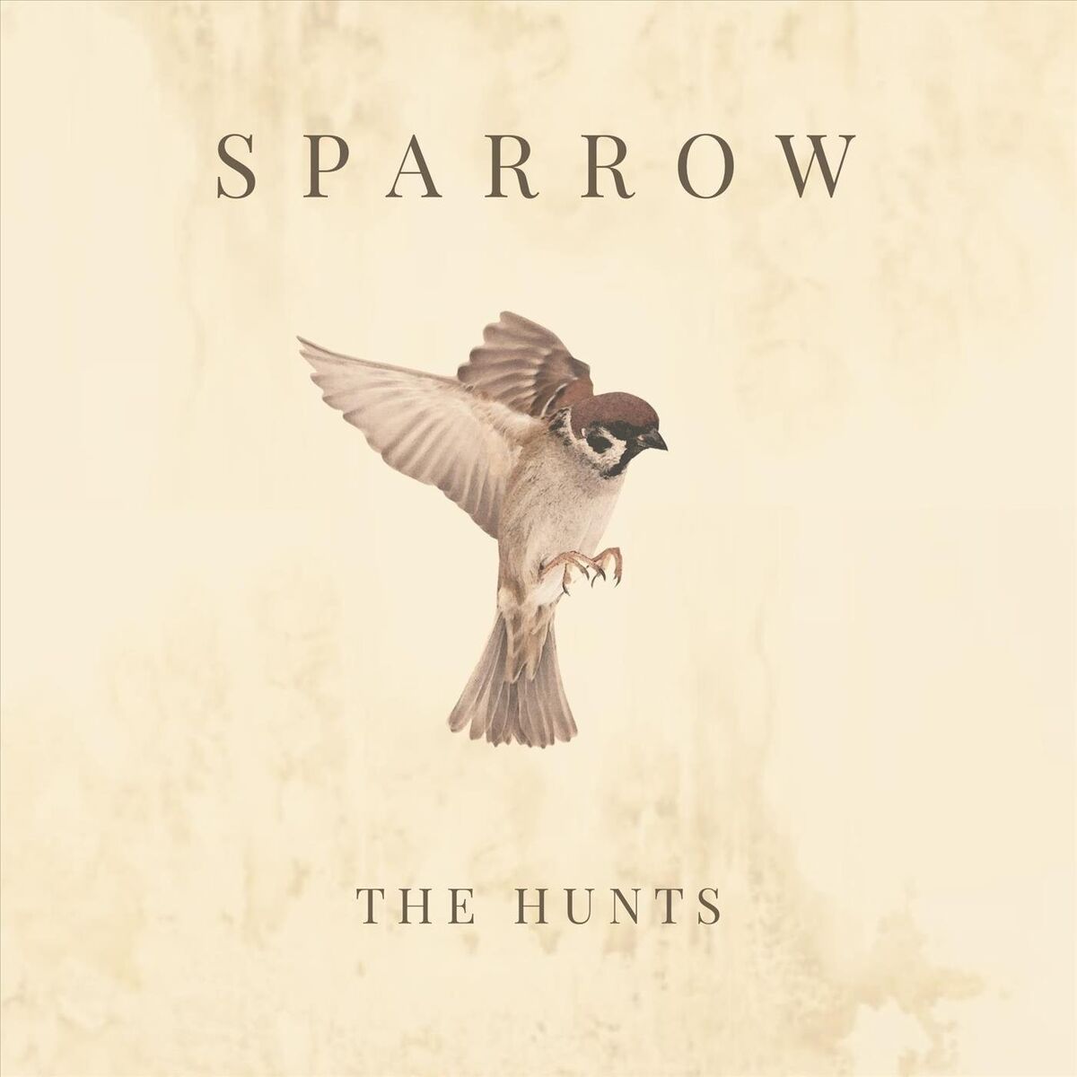 Album cover of Sparrow