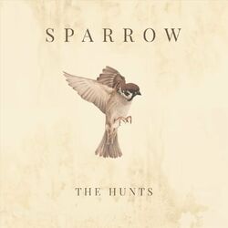 Sparrow