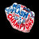 Champions (feat. TTC) by Mr Flash album cover