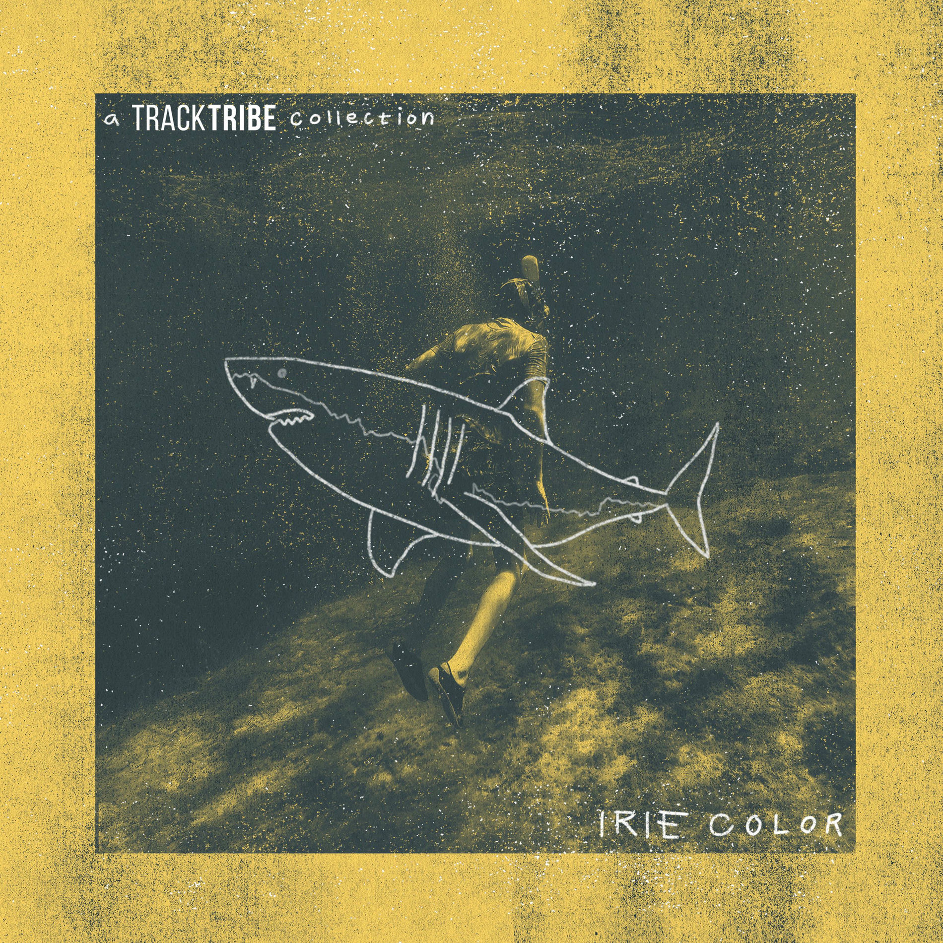 Album cover of Irie Color