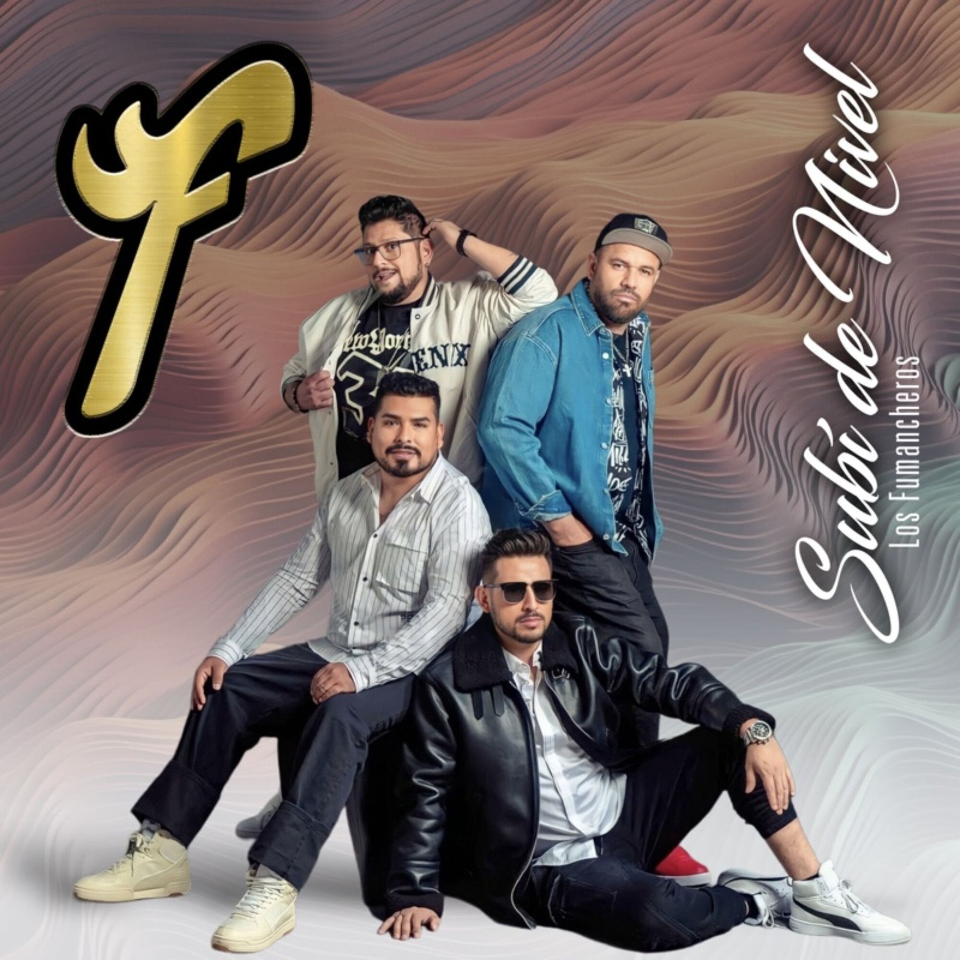 Album cover of Subí de Nivel
